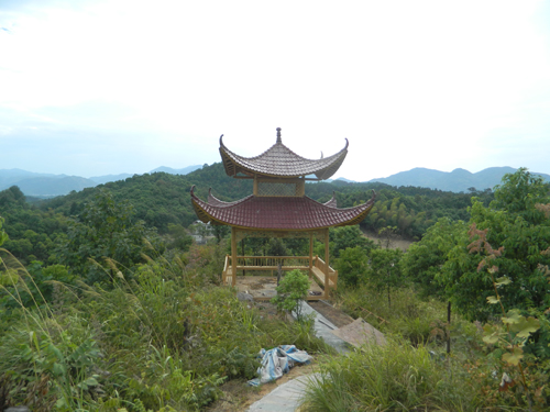溆浦湘楚木作古建工程有限公司,土家吊脚楼,侗乡鼓楼,侗乡风雨楼哪里好
